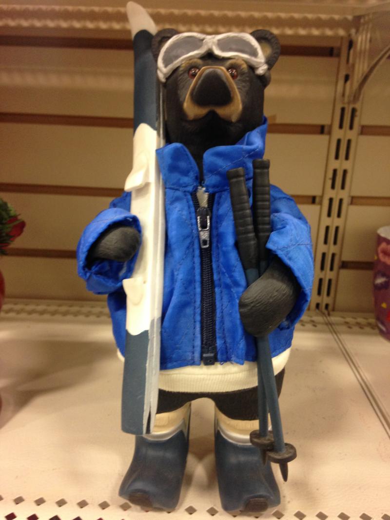skiing bear